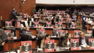 Los senadores aprobaron en lo general las modificaciones a la Ley Minera. Foto: @CitlaHM