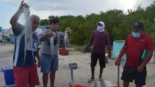 Juan Patrón Alcalá, especificó que los números a diferencia del 2020 son totalmente avasalladores