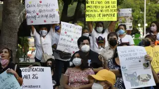 MÁS de 100 activistas, líderes de agrupaciones y ciudadanos en pro de los derechos de los animales se manifestaron en el Palacio Municipal,  para tachar al Edil de “mentiroso” por decir que avalaban el documento que rechazó el Cabildo