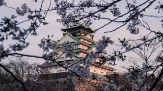 Castillo japonés