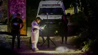 La víctima se encontraba junto a su madre a la hora del ataque