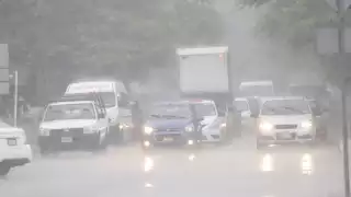 Foto: Martín Zetina