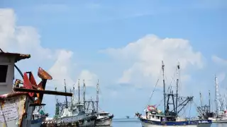 La pesca de camarón es una de las actividades principales en esta rama del empleo