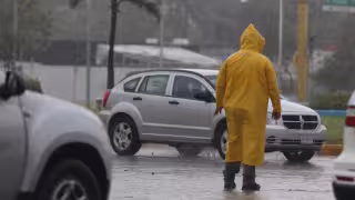 FOTOS: Jorge Delgado