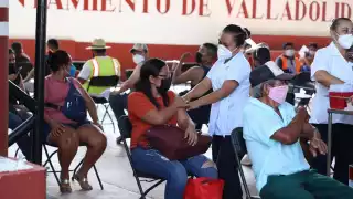 La aplicación comienza este 14 de febrero