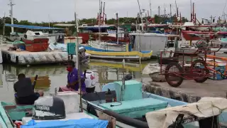 En la comunidad, alrededor de mil 500 pescadores no han podido salir a la captura de especies de escama por los efectos del fenómeno climatológico