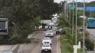 FOTOS: Jorge Delgado