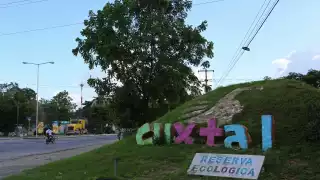 Biólogos y ecólogos no están de acuerdo que se fragmente esta zona natural, porque no es el impacto sólo en el área de las vías, sino que habrá afectación general