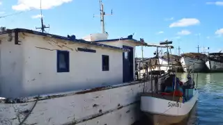 Los pescadores locales a buscar otras alternativas de trabajo