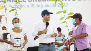 Mauricio Vila entregó árboles de ramón para reforestar el estado
