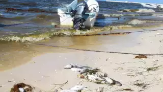 Bañistas buscan otros lugares para poder bañarse en el mar