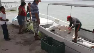 Pescadores esperan que azote un temporal que se lleve mar adentro enorme manchón amarillo