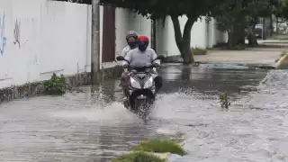 Foto: Por Esto! Quintana Roo