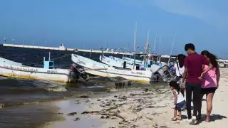 La marea roja apenas se encuentra en los primeros días de una larga travesía, señalan