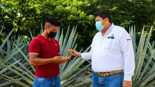 Las comisarías beneficiadas, son: Kinchil, Sinanché, Kantunil, Hoctún, Halachó, Tetiz y Tekik de Regil.