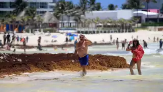 Pocos turistas se animaron a permanecer en la costa cancunense debido al viento frío y la invasión del vegetal marino, que por más que se limpia, no deja de llegar