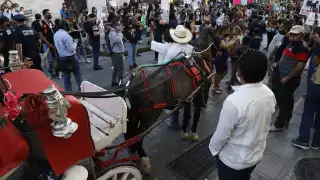 Es el segundo fin de semana consecutivo con protestas contra el maltrato animal