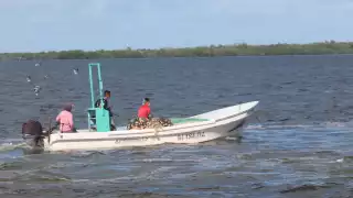 Temporada de langosta: Pescadores exigen cámara hiperbárica en el puerto de Chiquilá