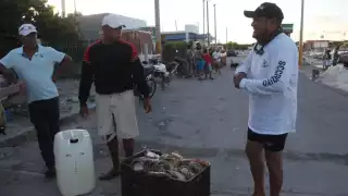 De acuerdo con los pescadores, el precio por kilogramo podría llegar a los 740 pesos