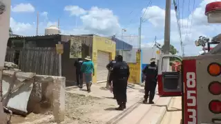 Enjambre de abejas causa movilización policiaca en Tizimín