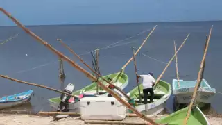 Previo inicio de la temporada de pulpo, pescadores campechanos preocupados por la depredación