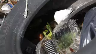 FOTOS: Jorge Delgado