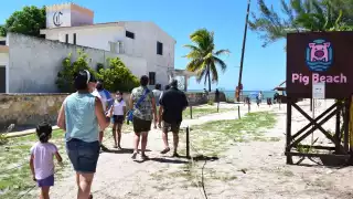 Pig Beach fue uno de los más afectados al disminuir en más del 50 por ciento en sus visitas tras superar cifras récord