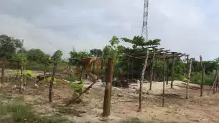 Denuncian venta de tierras ilegal en ejido de Calderitas, Quintana Roo