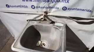 Foto: Martín Zetina