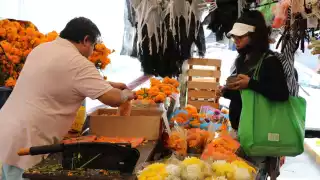 FOTOS: Jorge Delgado