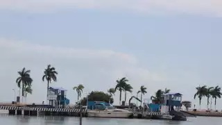 Quintana Roo es el único estado de México afectado por el alga pelágica