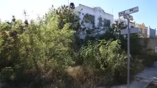 Juan Pablo II, Caucel y Francisco de Montejo, las colonias con más terrenos baldíos