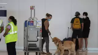 Con sus aditamentos llamó la atención rápidamente