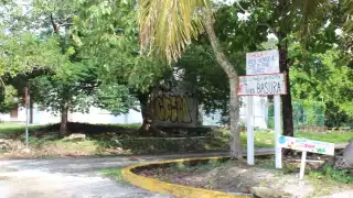 Comunidad lleva más de 50 años olvidada en Tulum