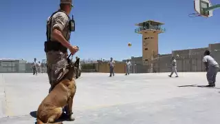 Imagen ilustrativa. Foto: Pixabay