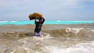 El mantenimiento de las playas públicas son responsabilidad de las autoridades municipales