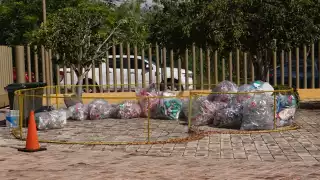 FOTOS: Edwin Aguilar