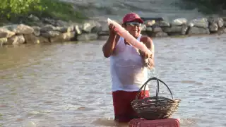 Raúl Orlando May May, pescador retirado, indicó que esta actividad económica fue una de las más importantes en la costa yucateca