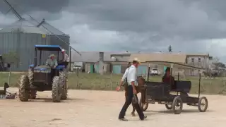 Menonitas de Bacalar parten a Perú por más tierras y leyes ambientales menos estrictas