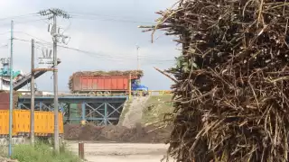 Esta medida es porque descubrieron que los ingenios se auto venden el bulto de azúcar a 750 pesos