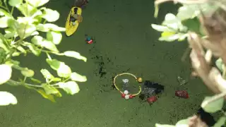 La Federación emitirá un decreto para que las fábricas dejen de dañar a los cenotes