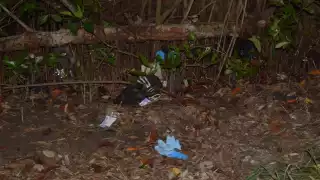 El motociclista se impactó contra una pipa de agua