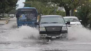 Foto: Jorge Delgado.