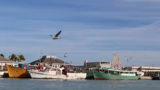 Fotografía ilustrativa