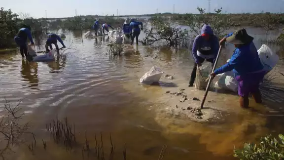 Estos trabajos son parte de un proyecto en coordinación con el Cinvestav
