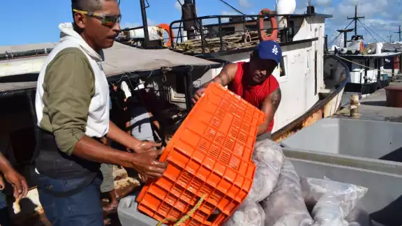 La pesca furtiva daña esta actividad, pues no permite que las especies se desarrollen La pesca furtiva daña esta actividad, pues no permite que las especies se desarrollen