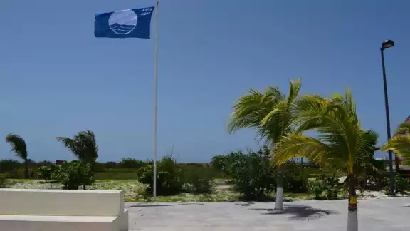 La “baja de la bandera” en el puerto ya fue notificada a la Fundación Europea de Educación Ambiental para adoptar las medidas correspondientes La “baja de la bandera” en el puerto ya fue notificada a la Fundación Europea de Educación Ambiental para adoptar las medidas correspondientes