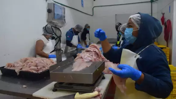En tiempos de bonanza, las fábricas contratan hasta 2 mil personas En tiempos de bonanza, las fábricas contratan hasta 2 mil personas