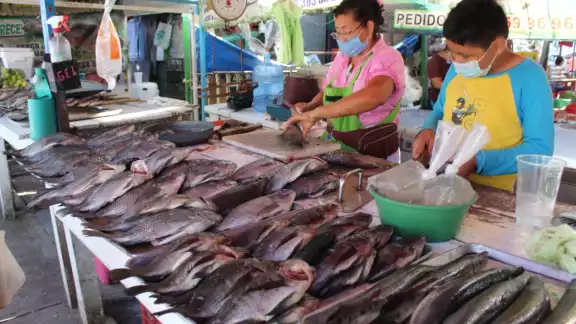 por temor a perder clientes, los comerciaantes aseguan que no se moverán a su nueva instalación