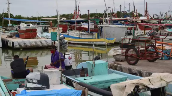 En la comunidad, alrededor de mil 500 pescadores no han podido salir a la captura de especies de escama por los efectos del fenómeno climatológico En la comunidad, alrededor de mil 500 pescadores no han podido salir a la captura de especies de escama por los efectos del fenómeno climatológico